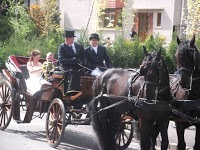 Prestige Wedding Carriages 282239 Image 3